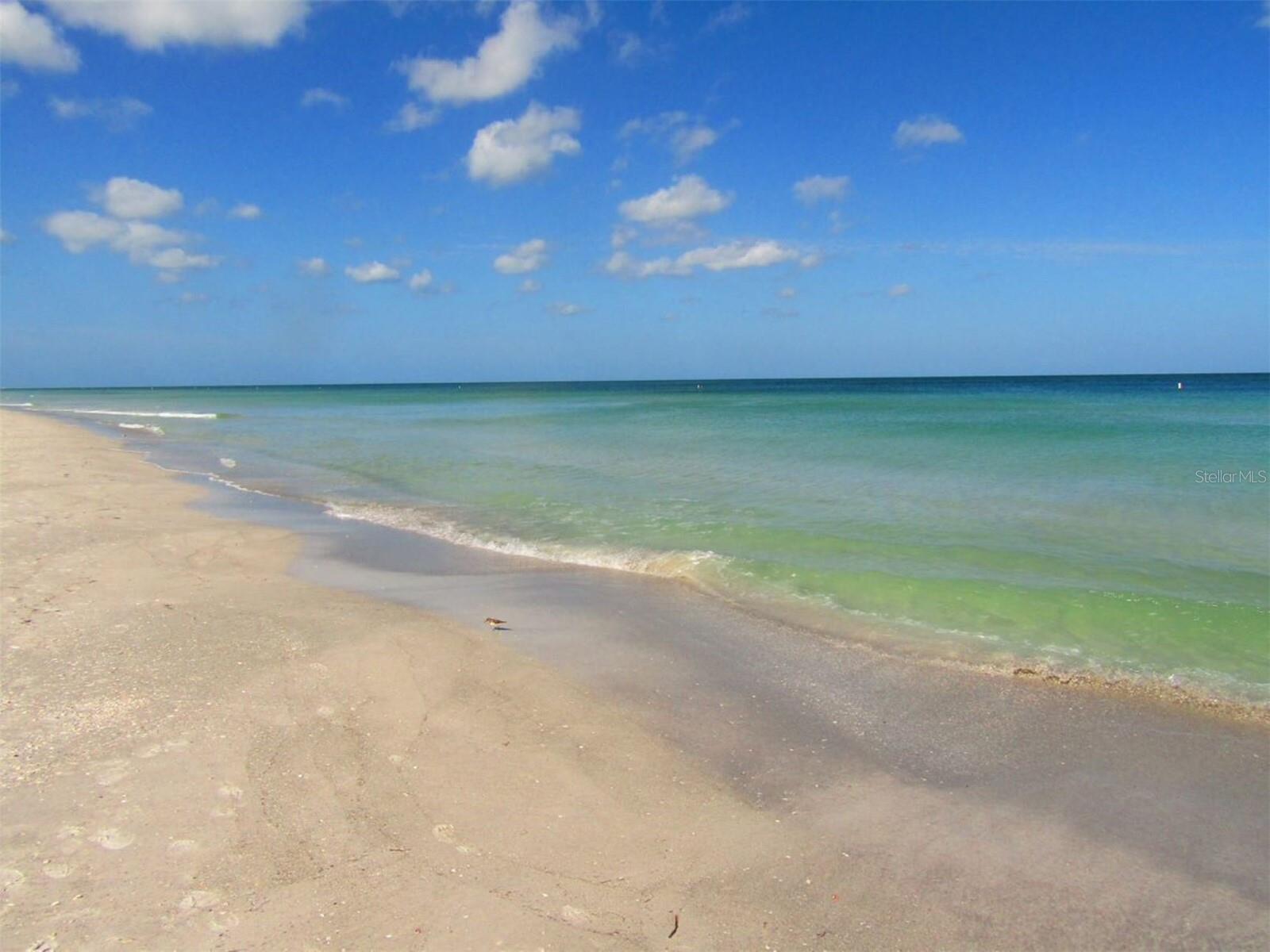 1430 GULF BLVD #612 — photo 37