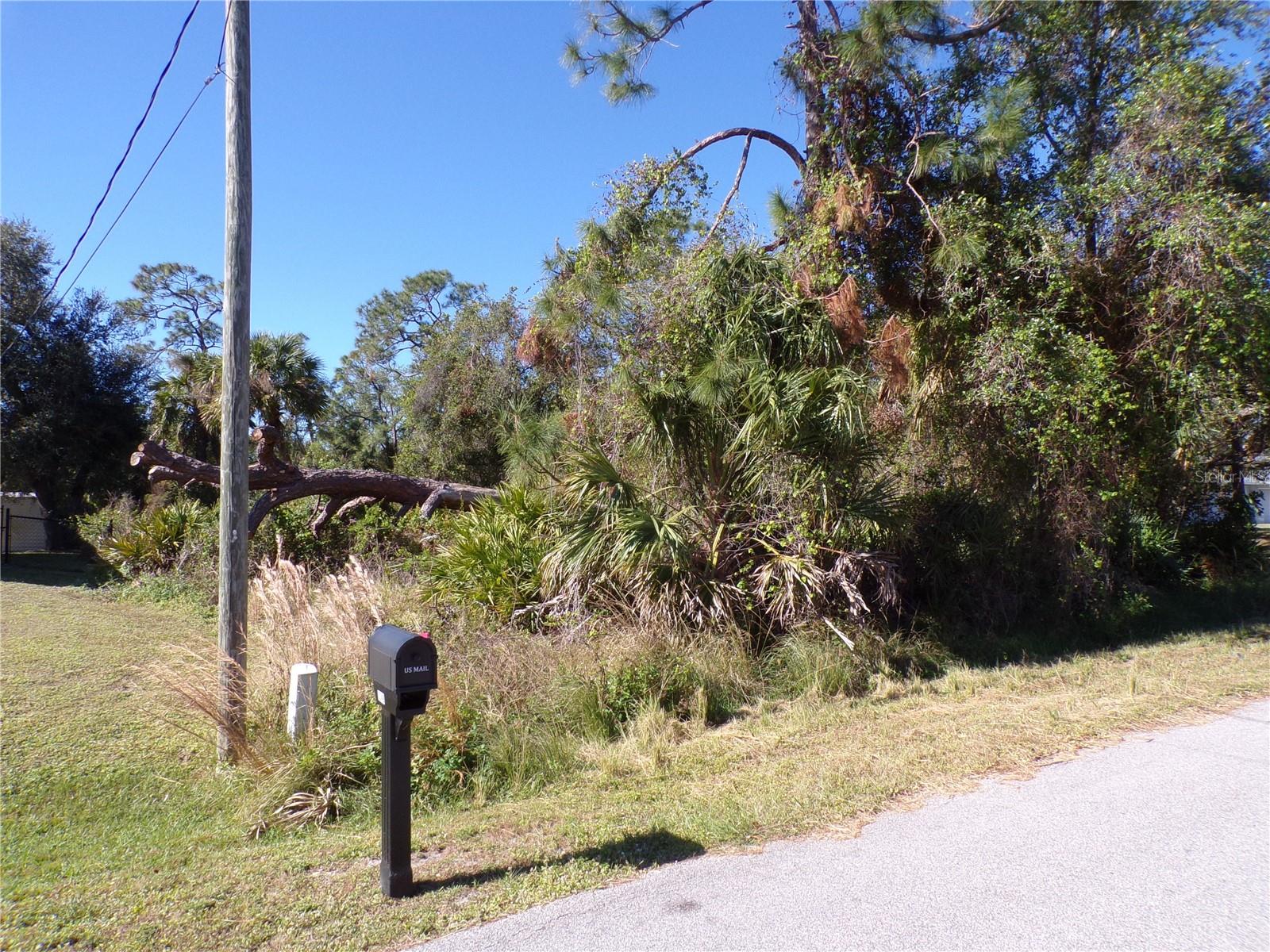 NORA LN — photo 9