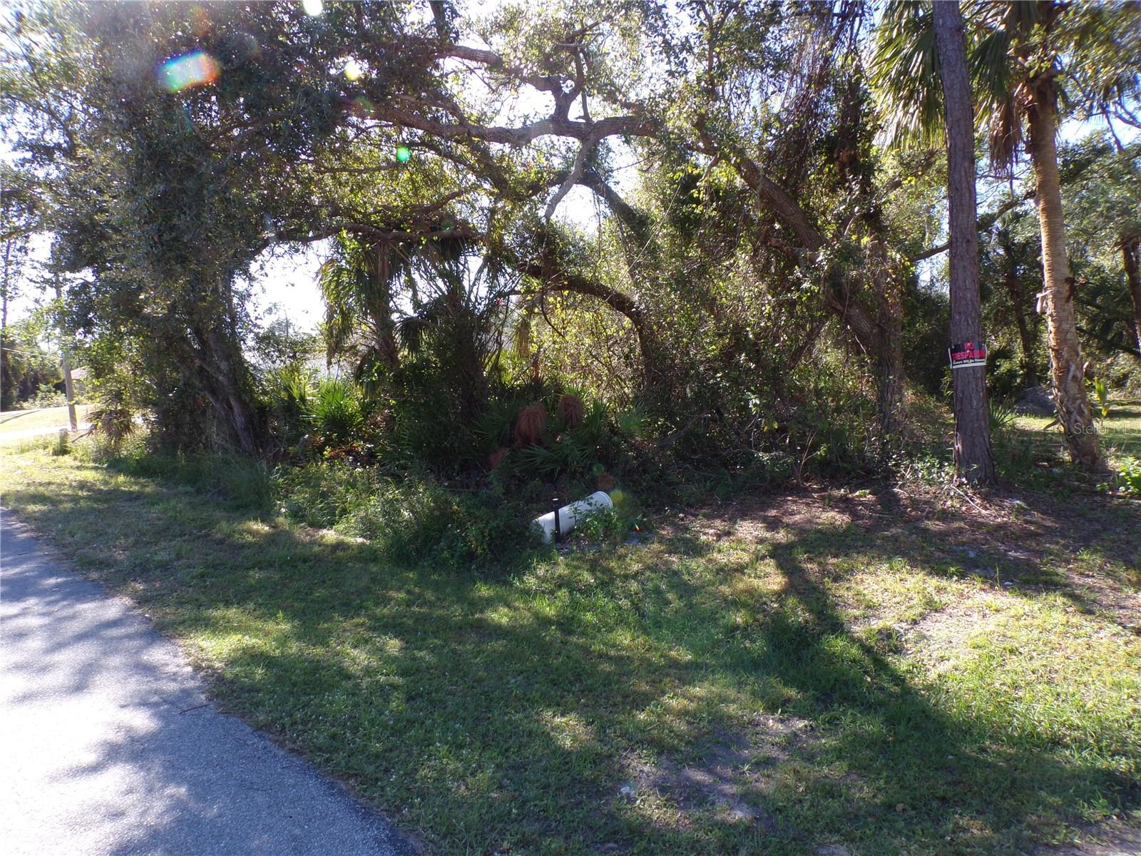 NORA LN — photo 6