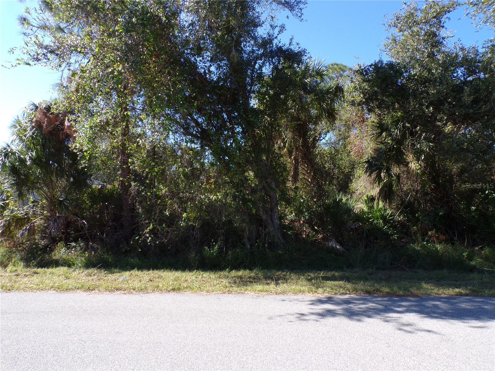 NORA LN — photo 3