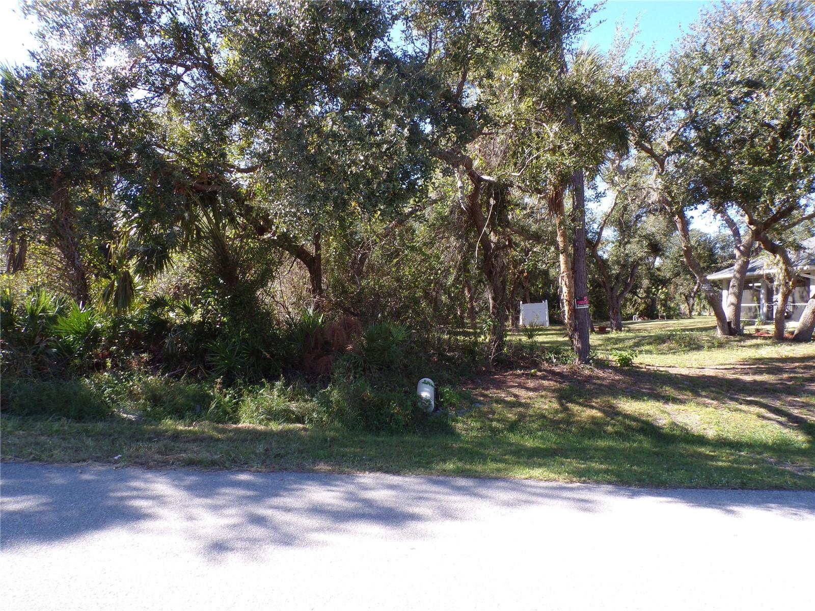 NORA LN — photo 5