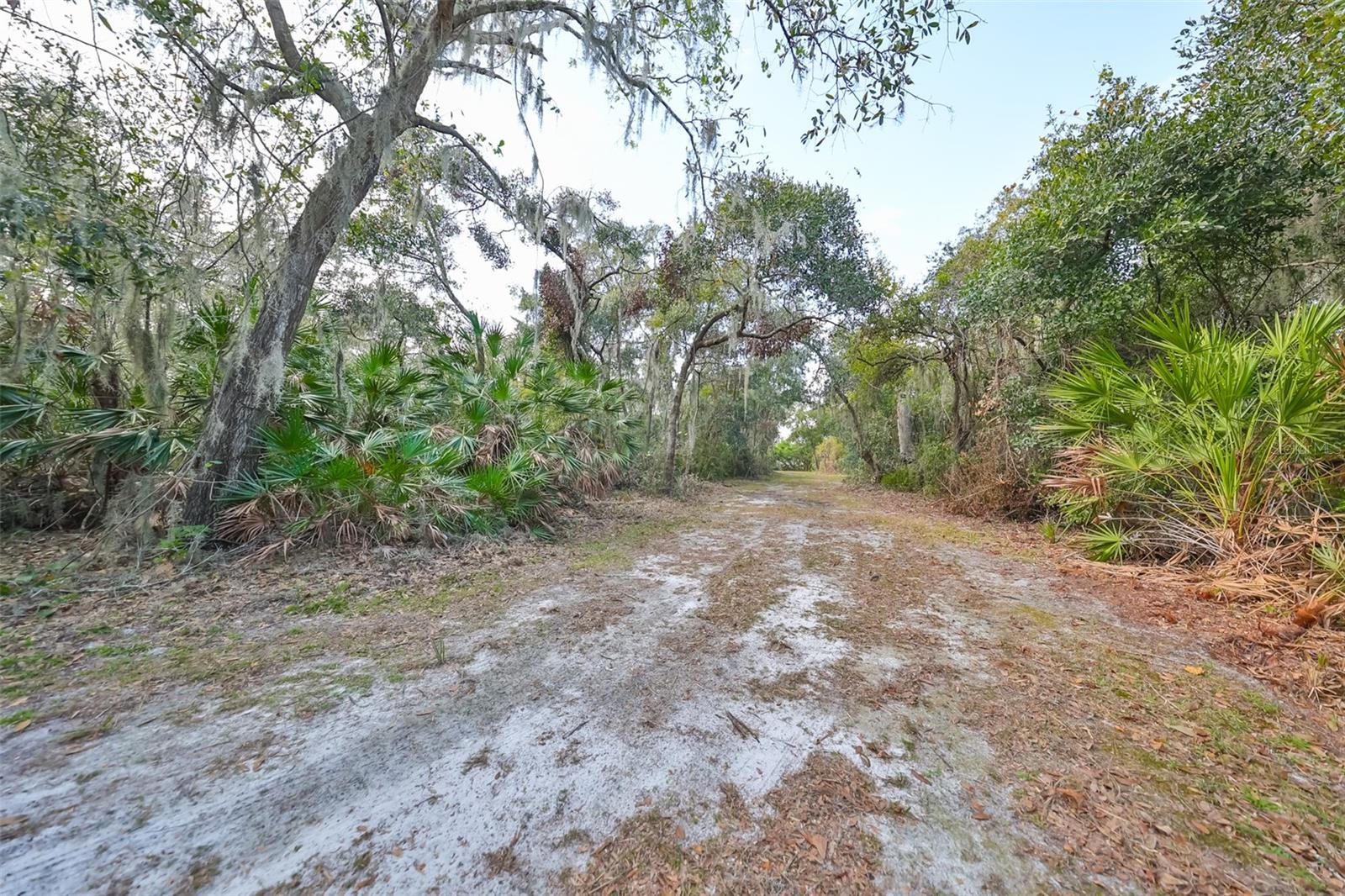 8839 RICHMOND ST — photo 14