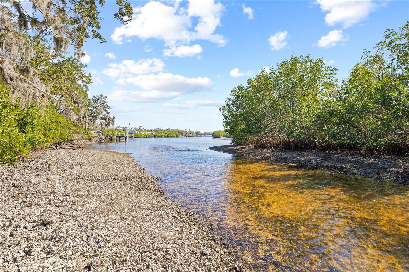 2312 W SHELL POINT RD — photo 24