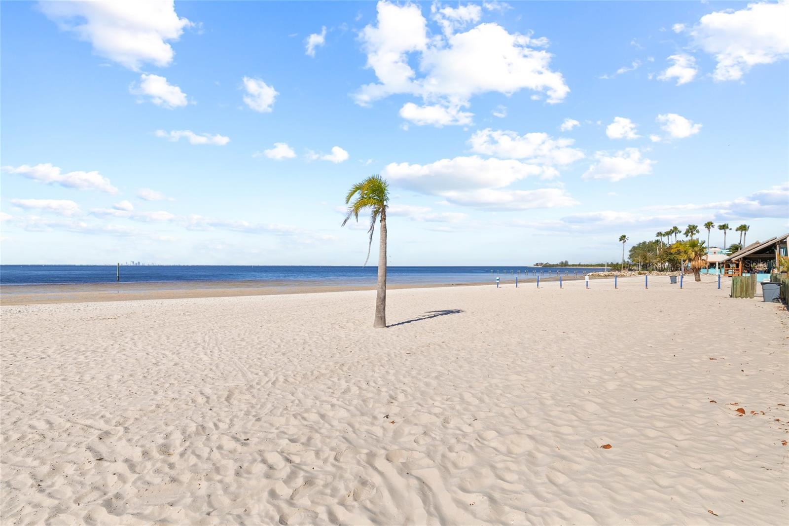 2312 W SHELL POINT RD — photo 32