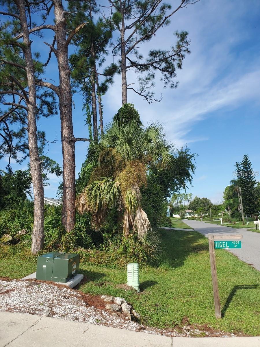 SLAYTON AVE — photo 9