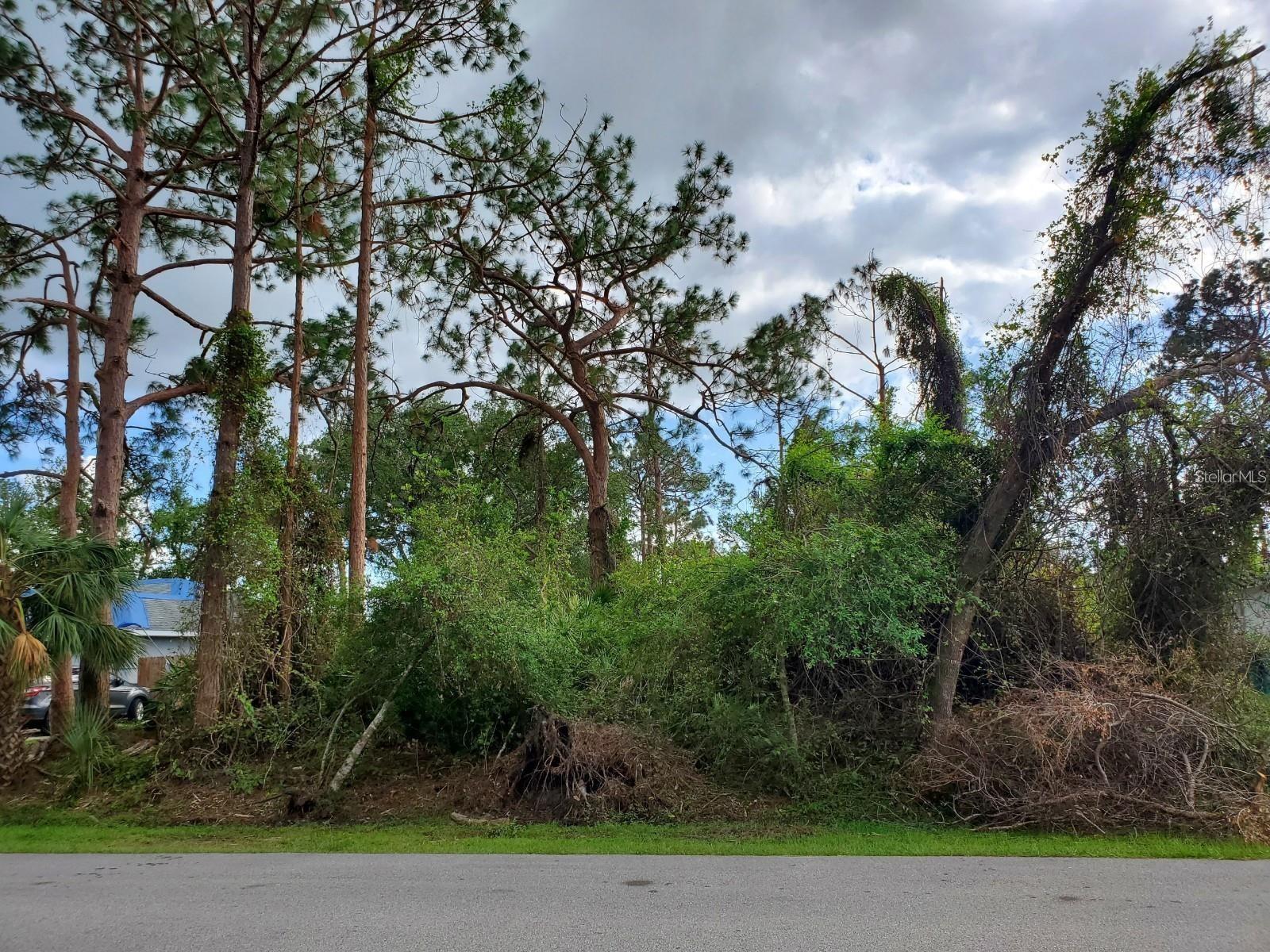 SLAYTON AVE — photo 8