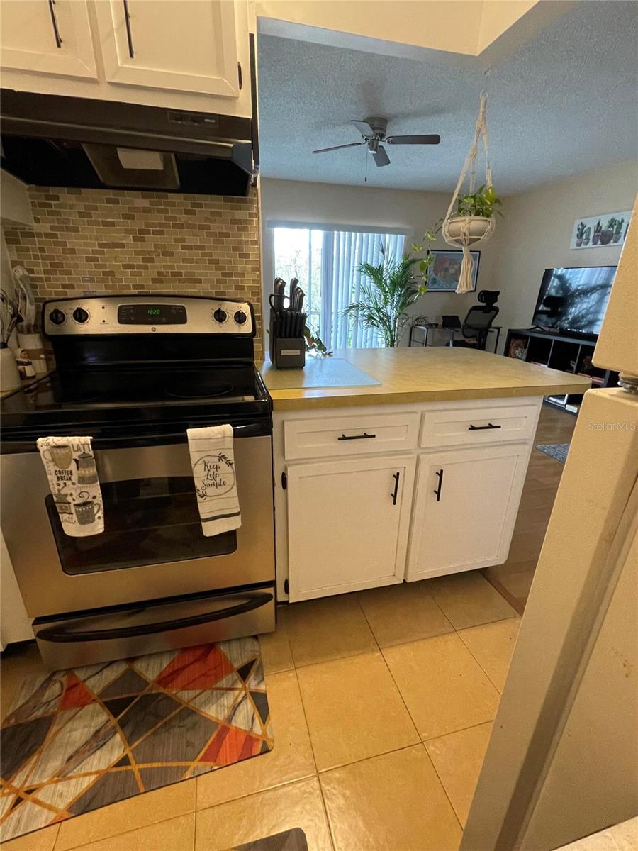 239 S MCMULLEN BOOTH RD #38 — photo 18
