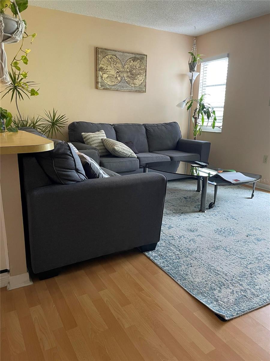239 S MCMULLEN BOOTH RD #38 — photo 10