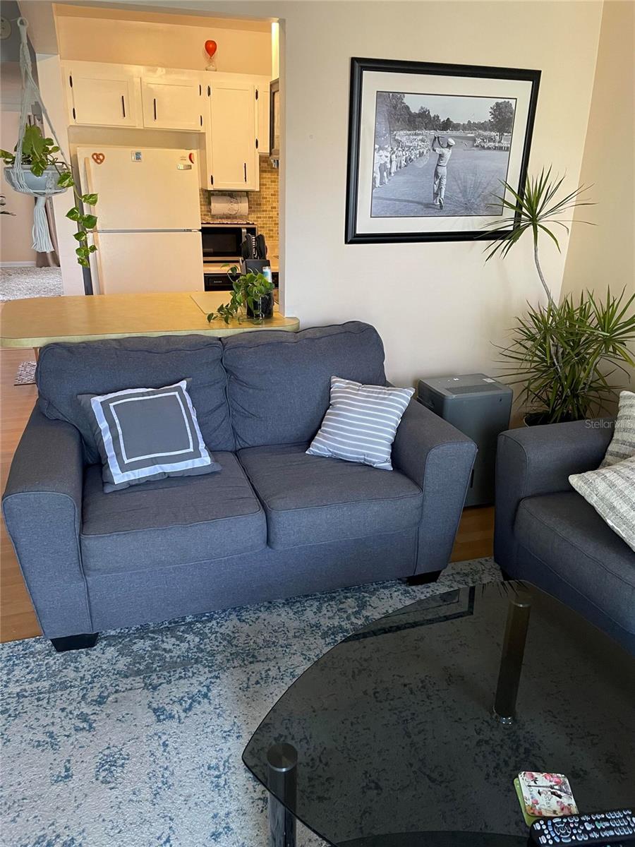 239 S MCMULLEN BOOTH RD #38 — photo 9
