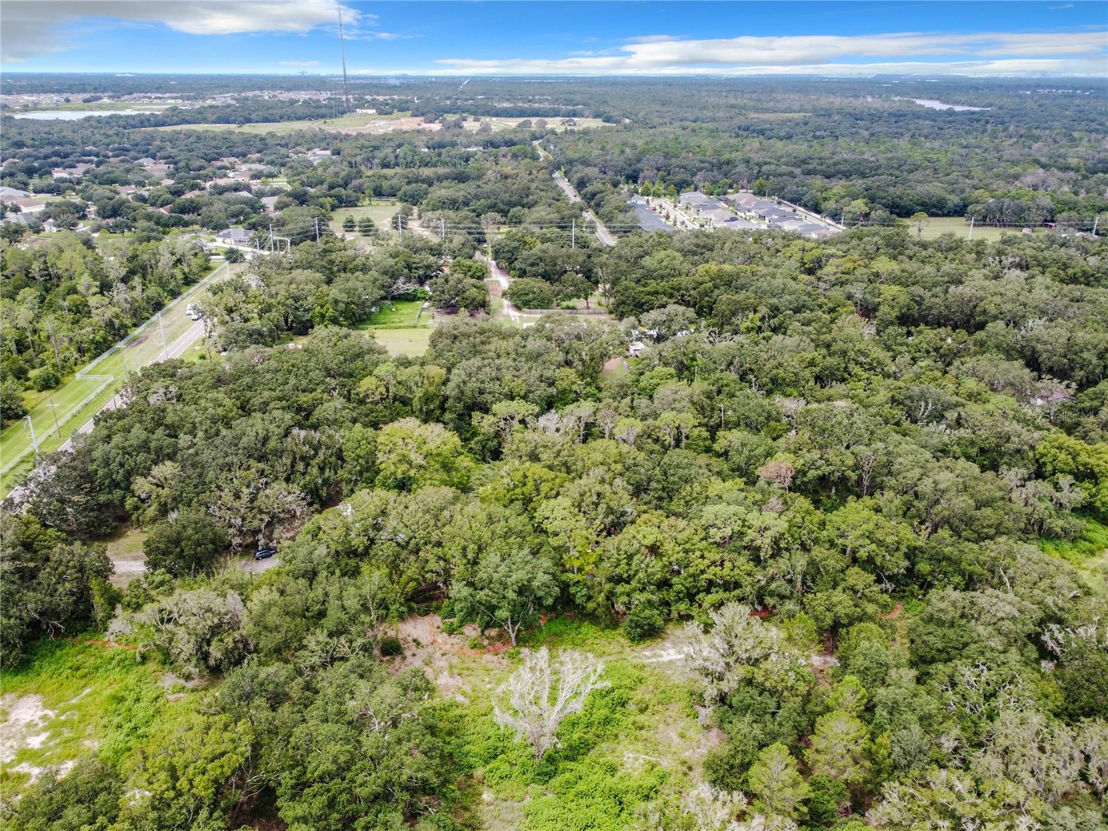 16206 BOYETTE RD — photo 11