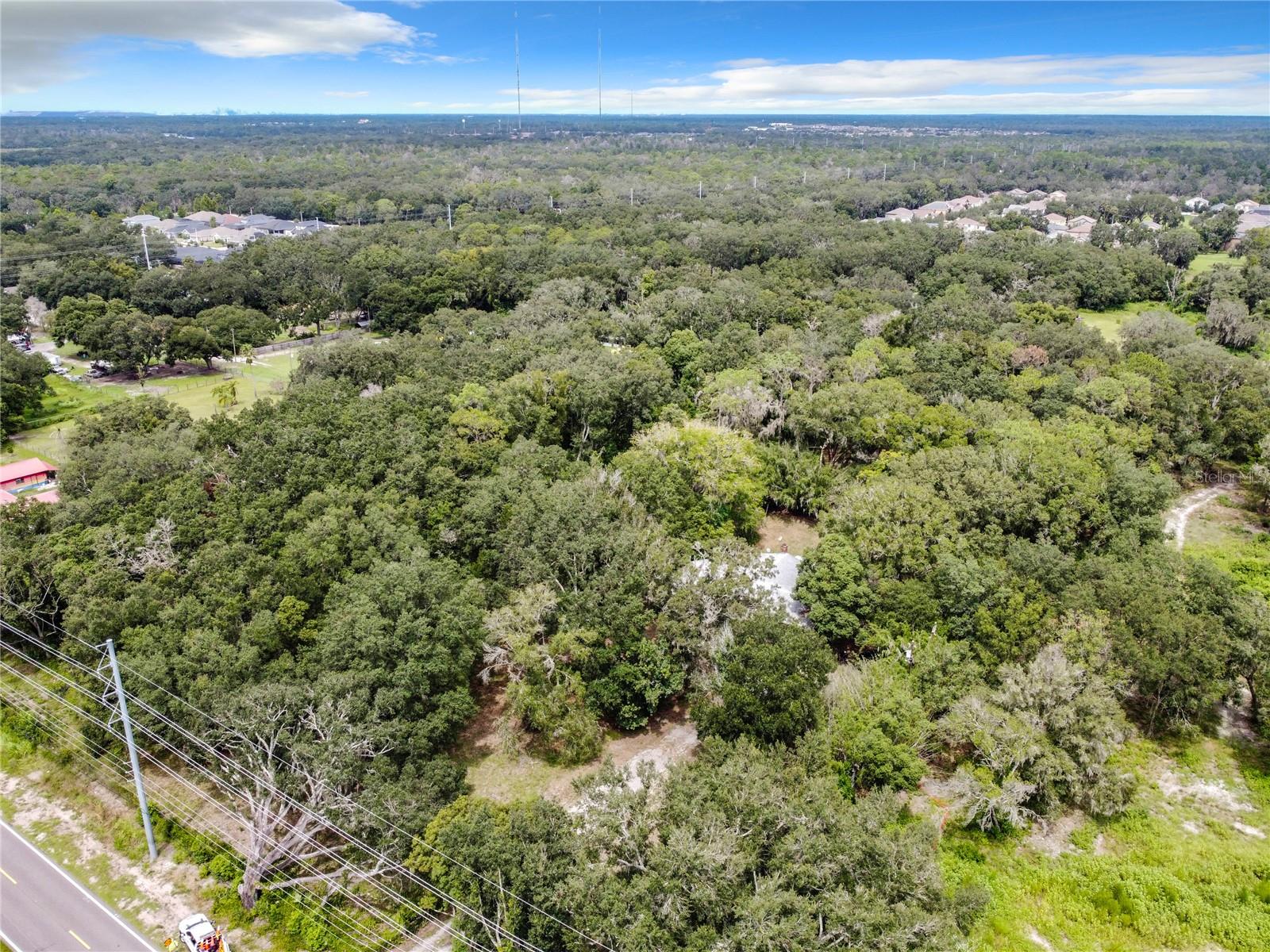 16206 BOYETTE RD — photo 13