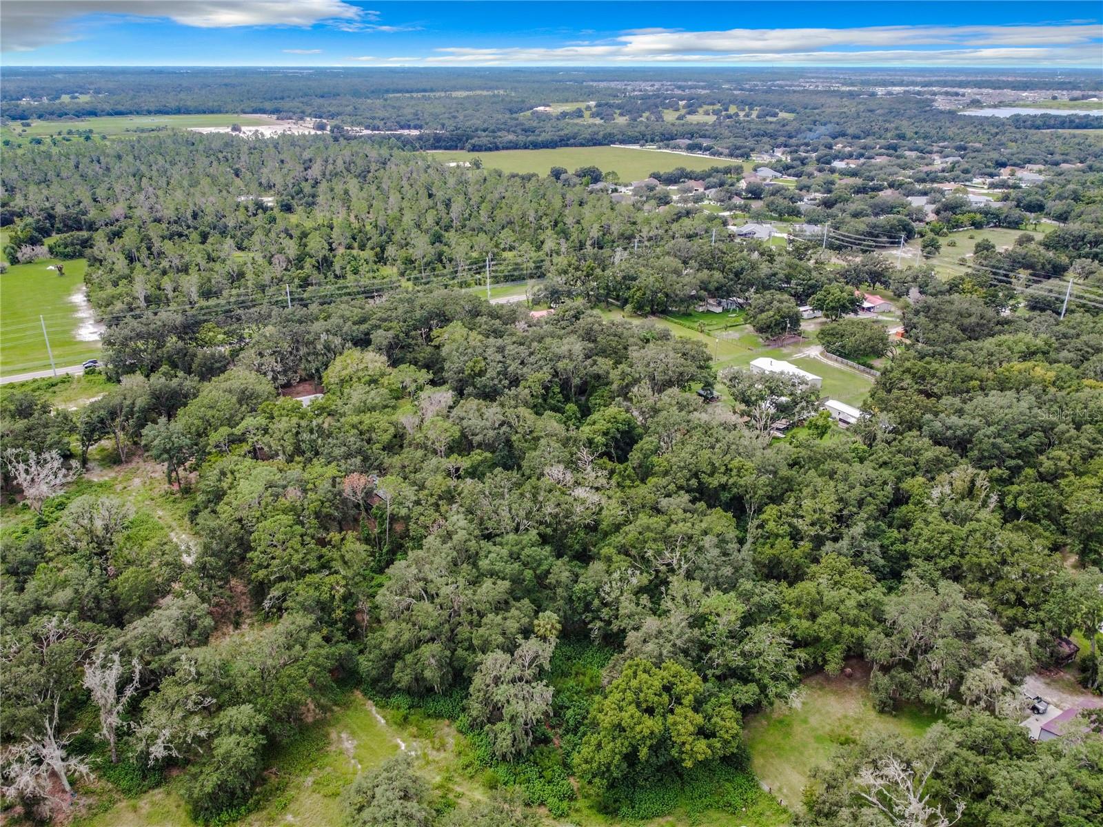 16206 BOYETTE RD — photo 4