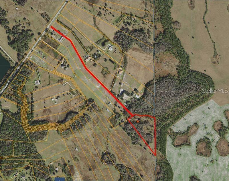 17301 MORRIS BRIDGE RD — photo 7