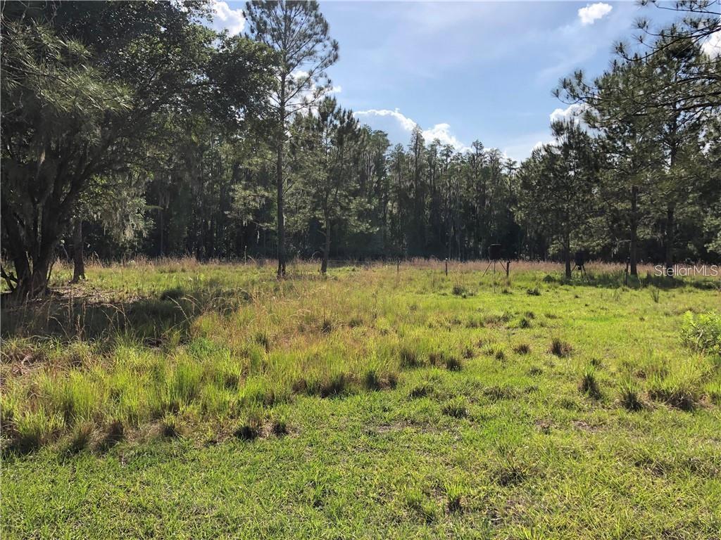 17301 MORRIS BRIDGE RD — photo 2