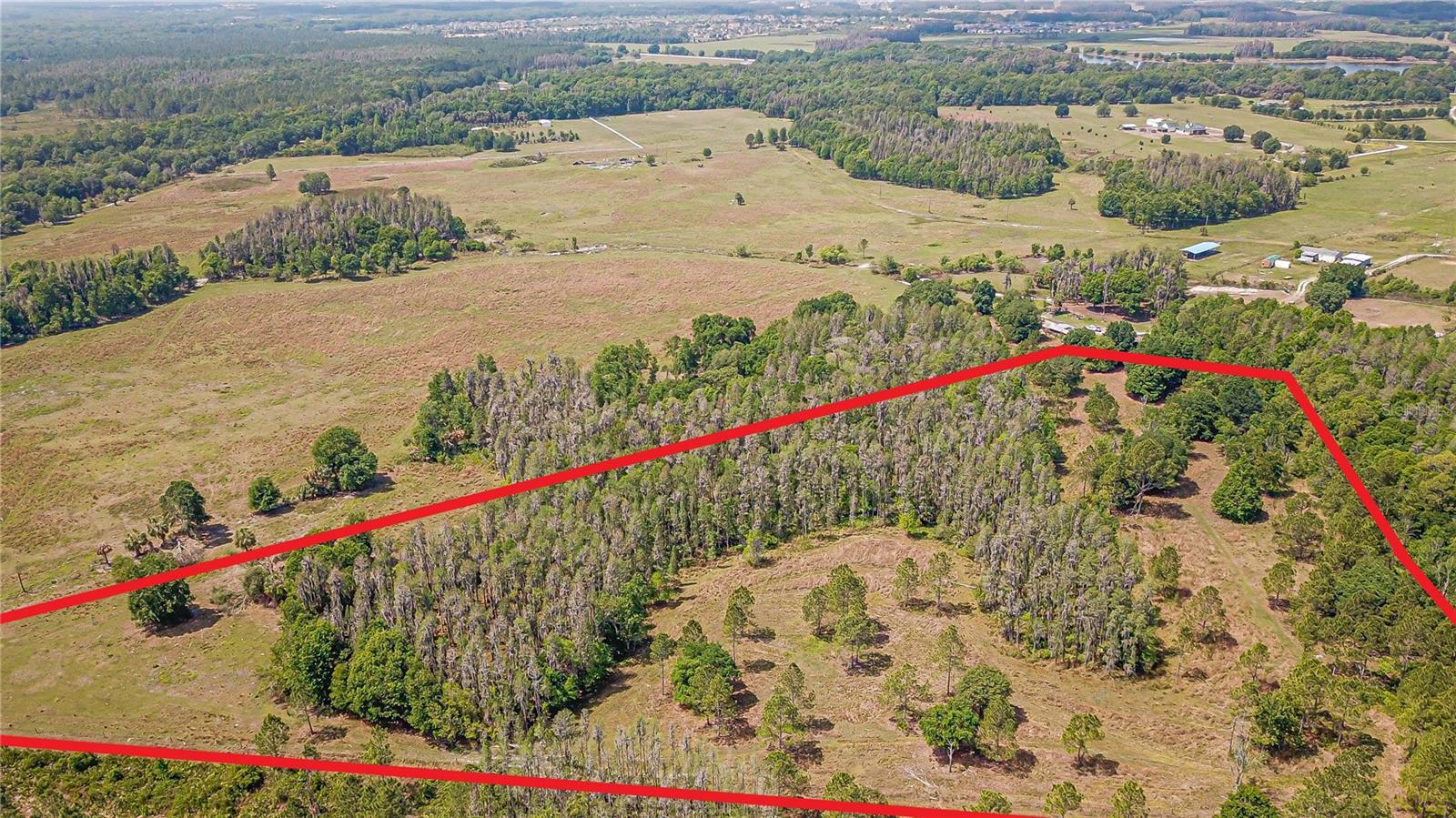 17301 MORRIS BRIDGE RD — photo 6