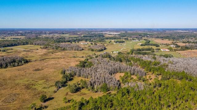 17301 MORRIS BRIDGE RD — photo 5