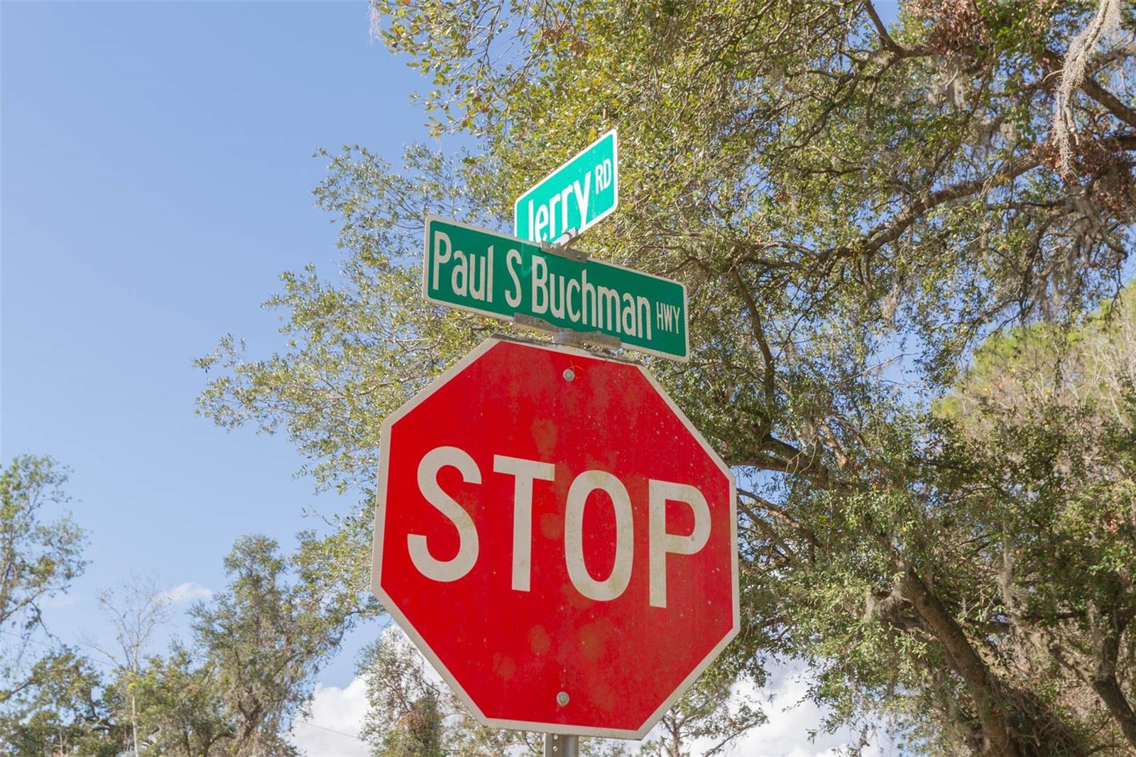 2050 PAUL S BUCHMAN HWY — photo 4