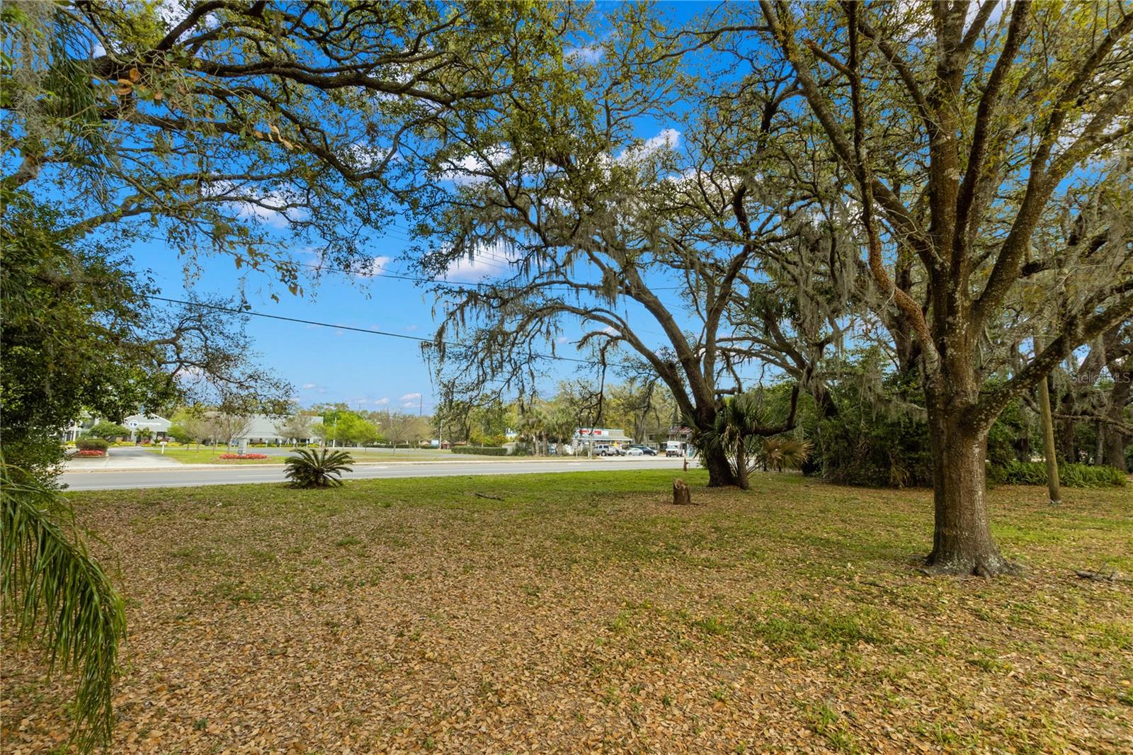 8617 TEMPLE TERRACE HWY — photo 48
