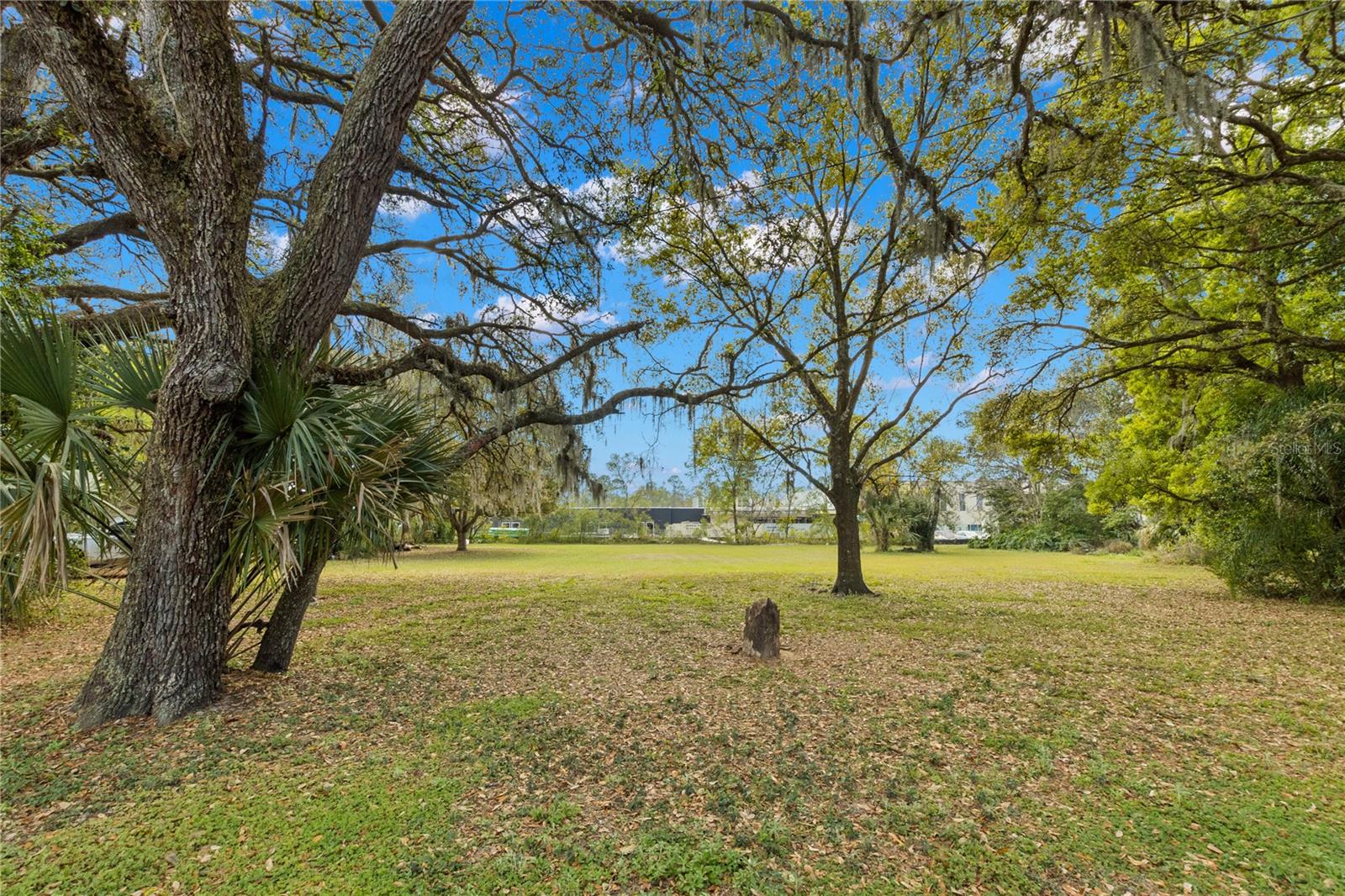 8617 TEMPLE TERRACE HWY — photo 47