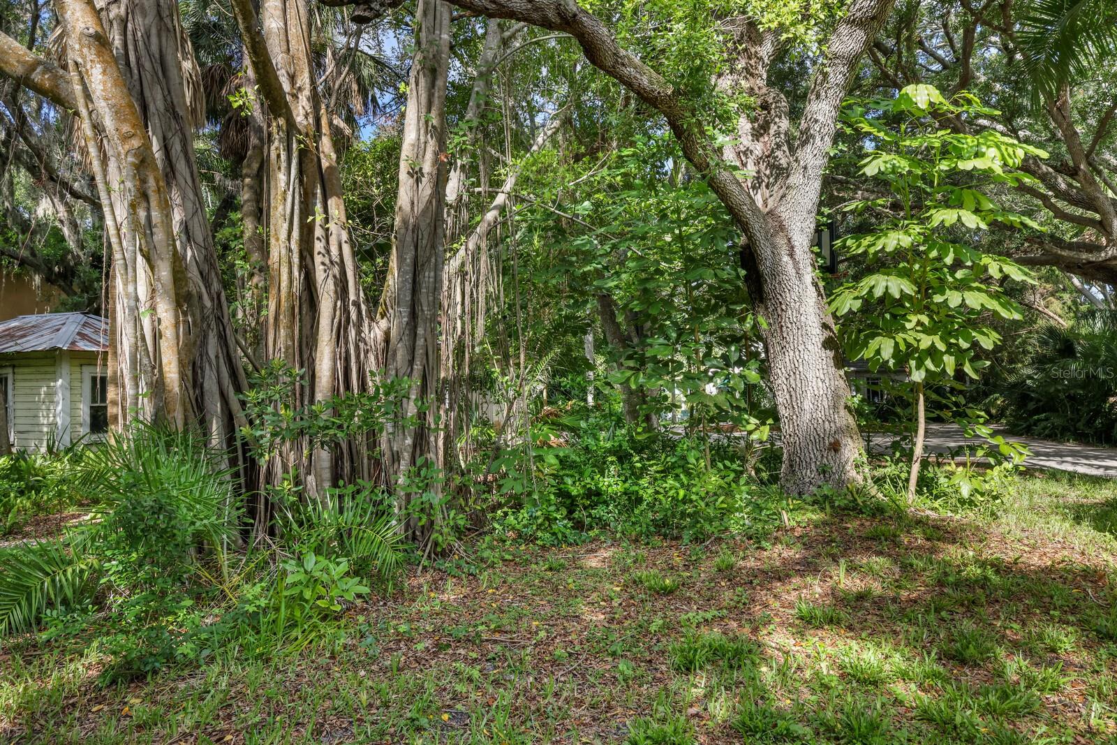 3301 BAY SHORE RD — photo 16