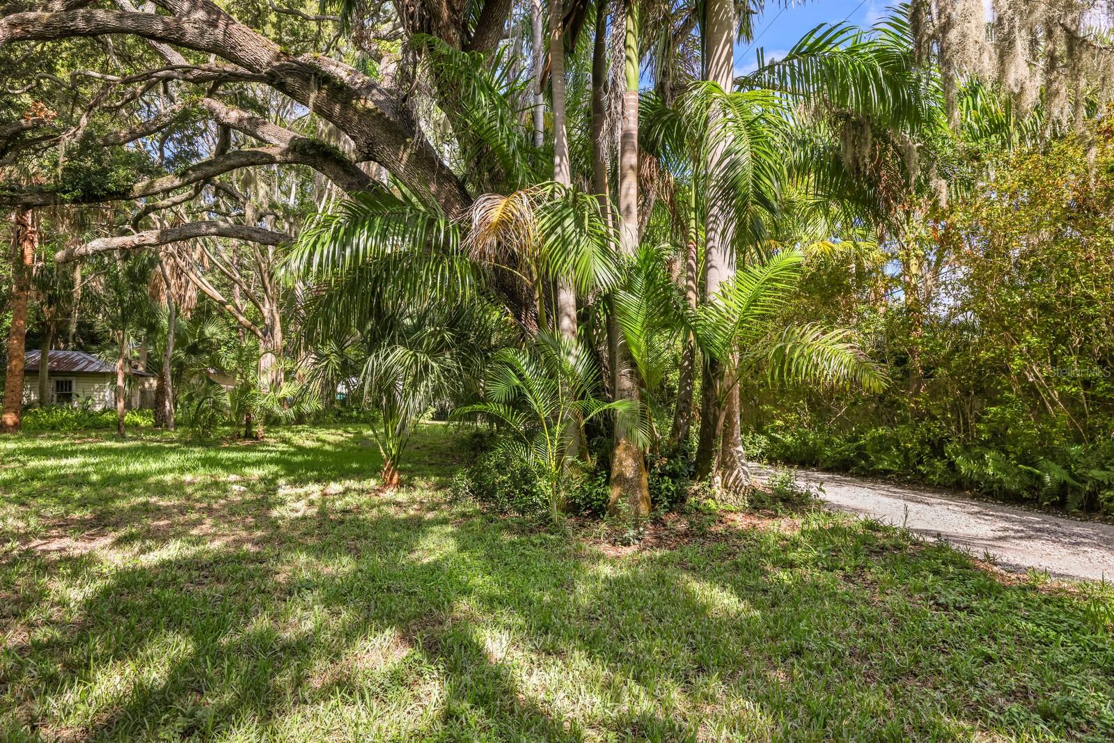 3301 BAY SHORE RD — photo 13
