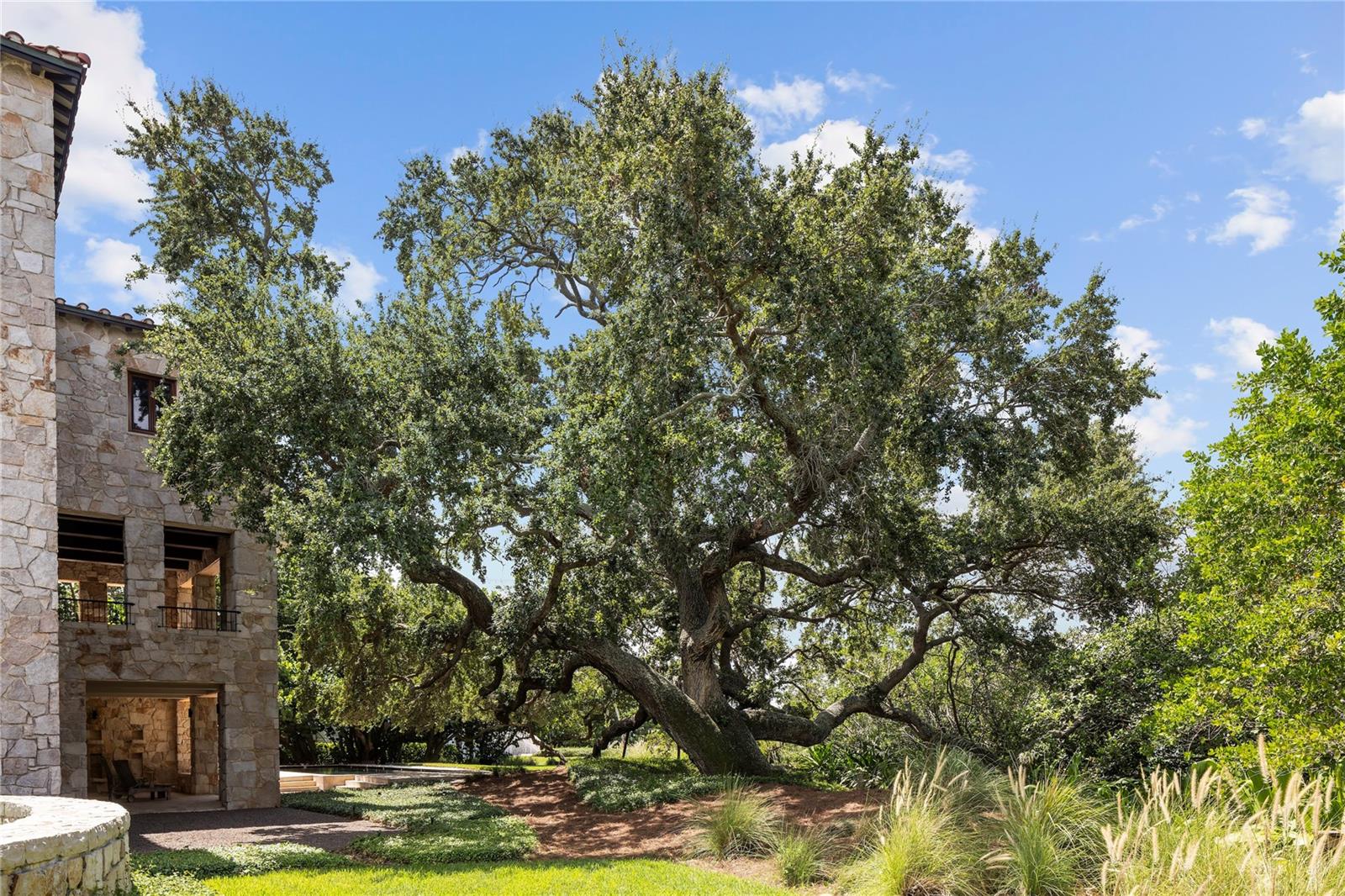 1571 OCEANVIEW DR — photo 41