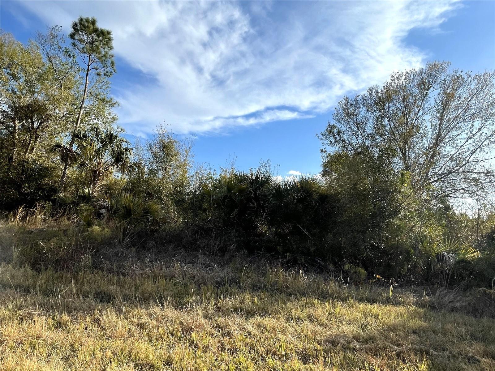 MARLBERRY RD — photo 3