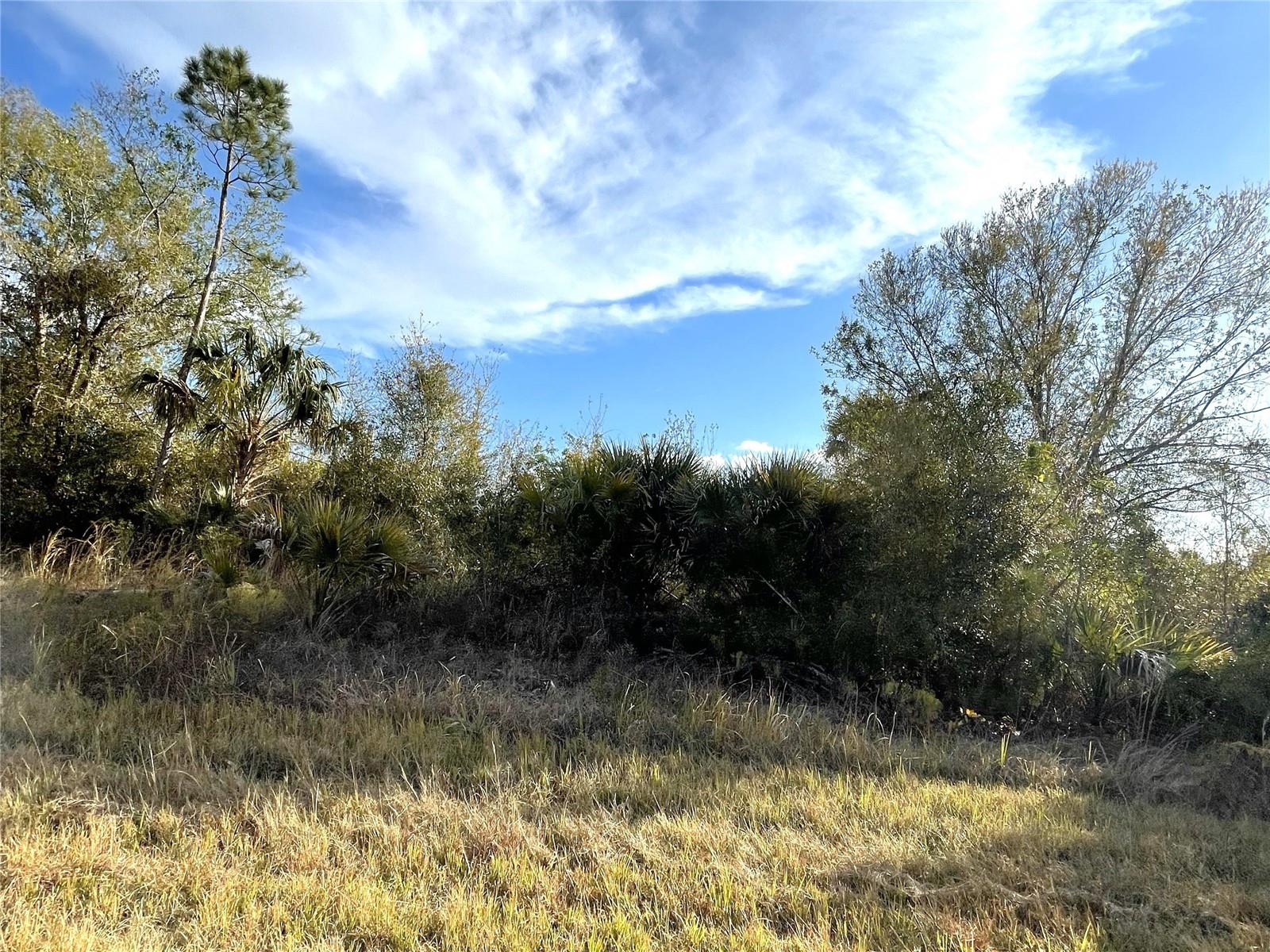 MARLBERRY RD — photo 4