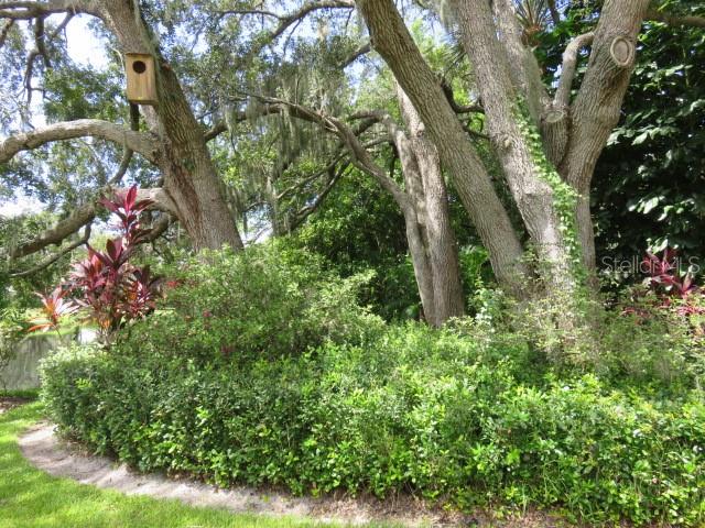 142 PINENEEDLE DR #142U — photo 25