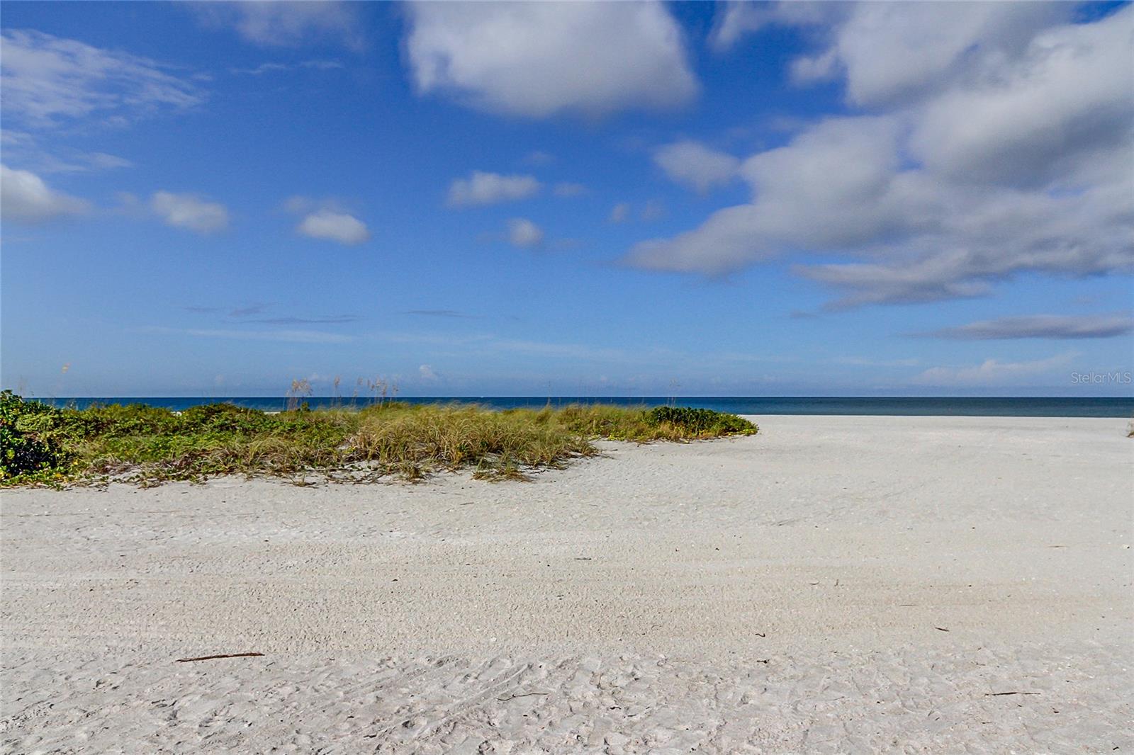 1270 GULF BLVD #304 — photo 38