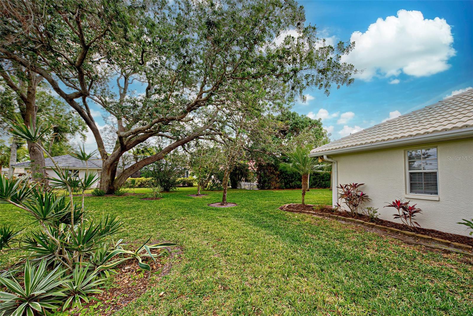 339 MEADOW BEAUTY CT — photo 6