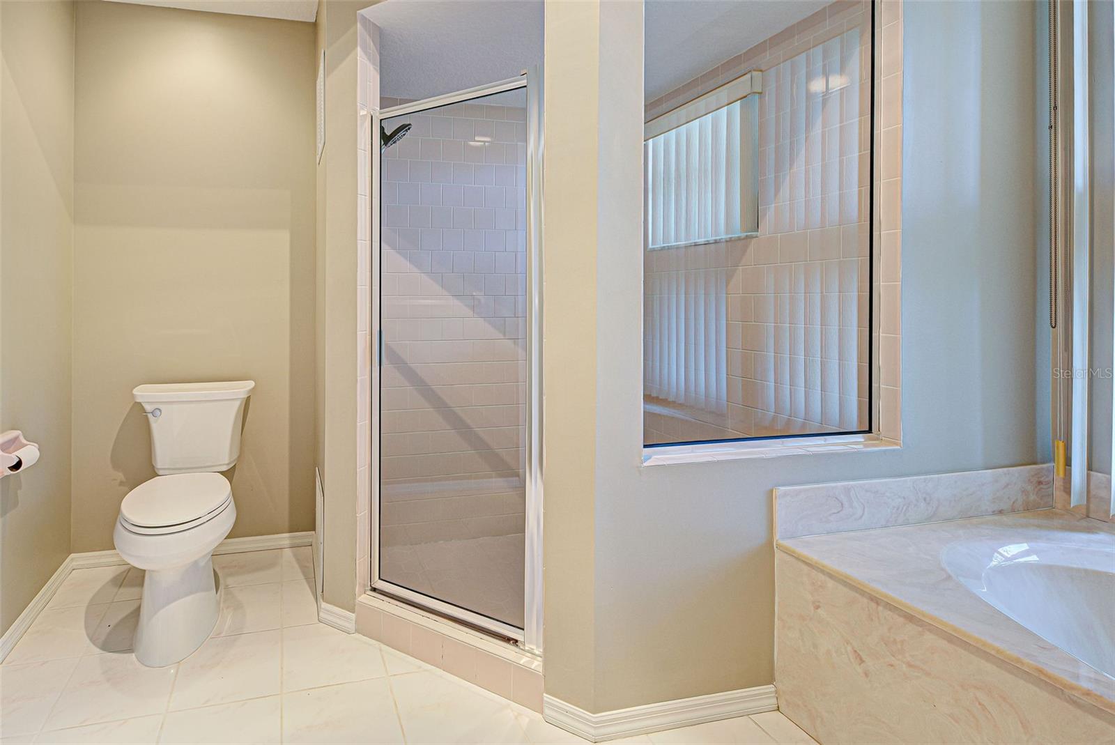 339 MEADOW BEAUTY CT — photo 39