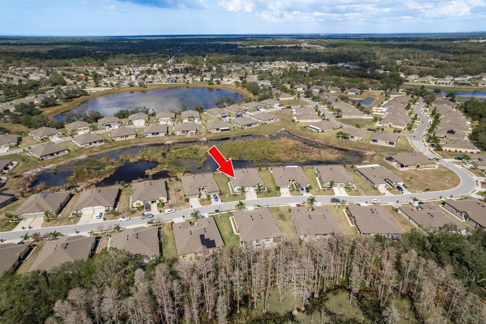 13387 CREST LAKE DR — photo 4