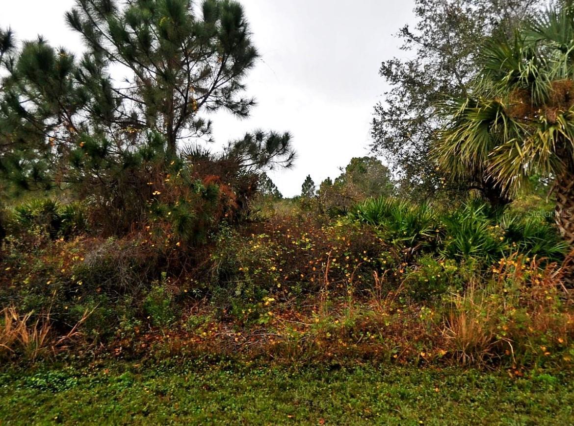 LENAPE LN — photo 3