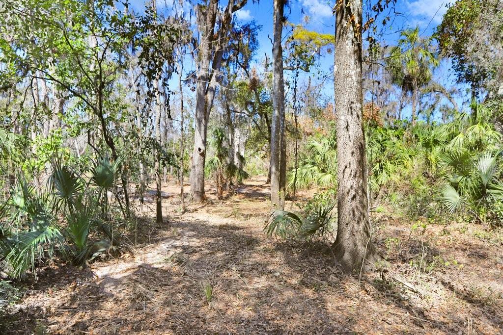 4868 RAMBLING RIVER RD — photo 43