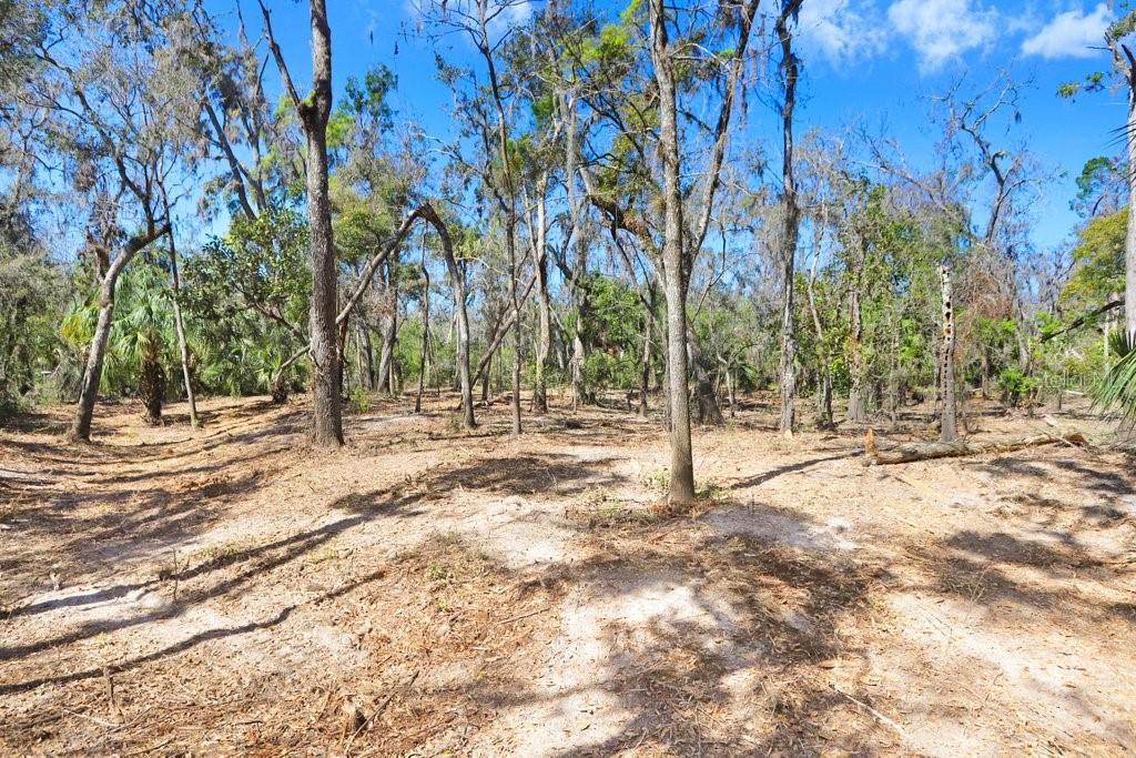 4868 RAMBLING RIVER RD — photo 45