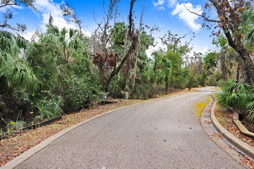 4868 RAMBLING RIVER RD — photo 9