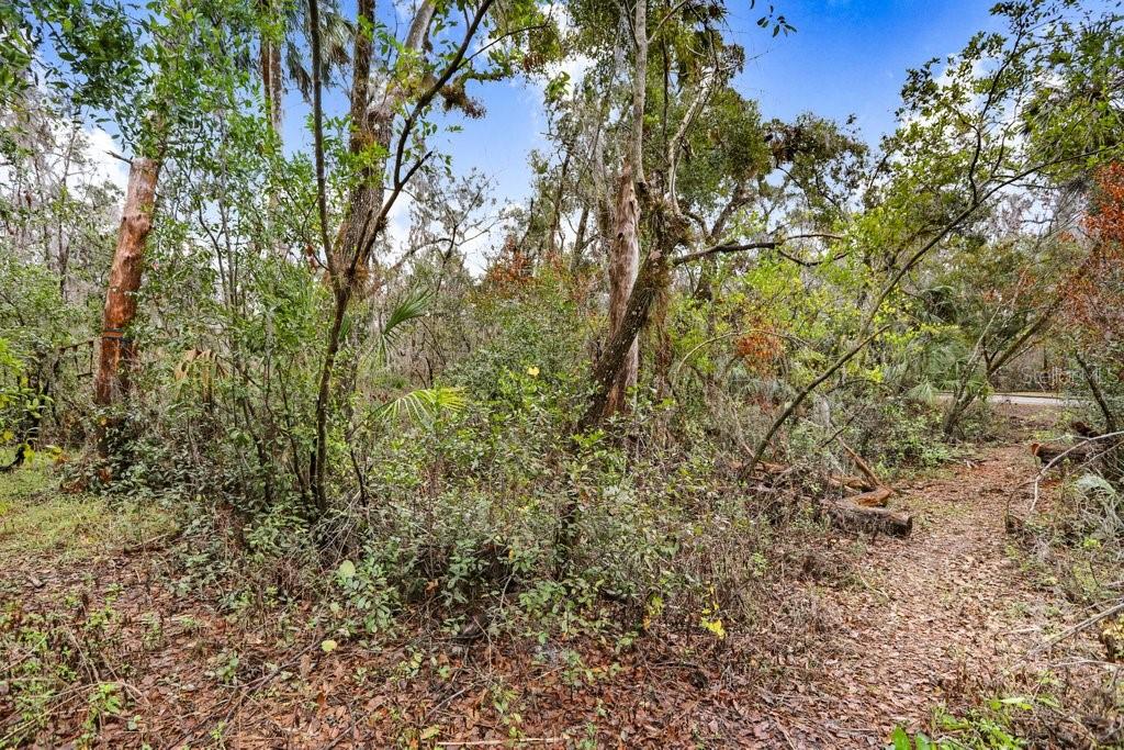4868 RAMBLING RIVER RD — photo 8