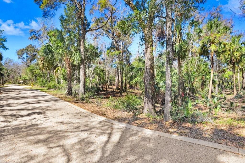 4868 RAMBLING RIVER RD — photo 44