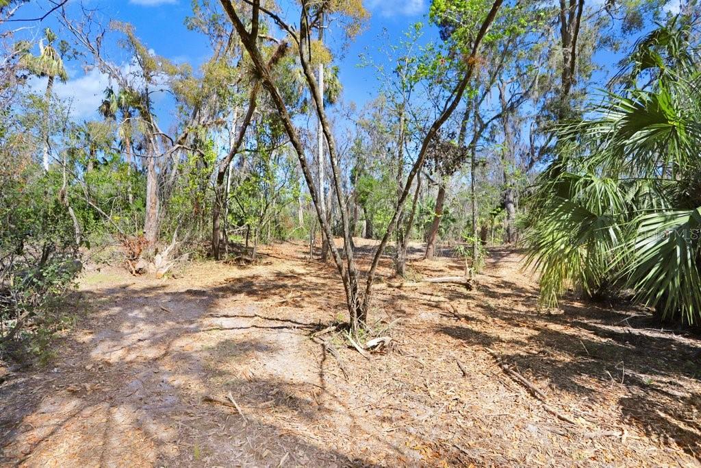 4868 RAMBLING RIVER RD — photo 40