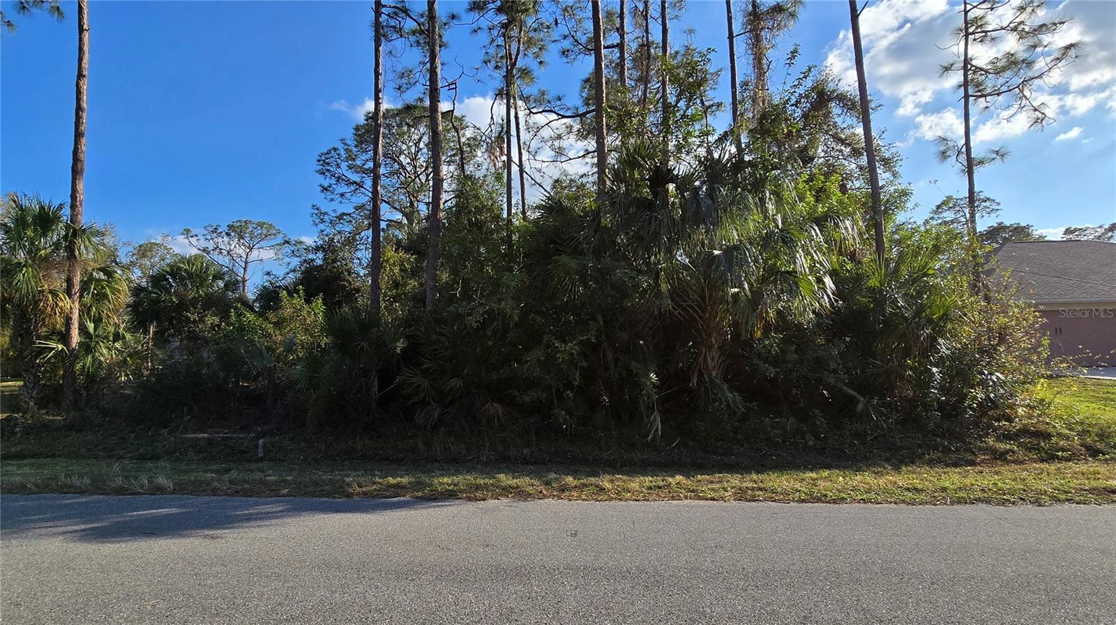SYLVANIA AVE — photo 3