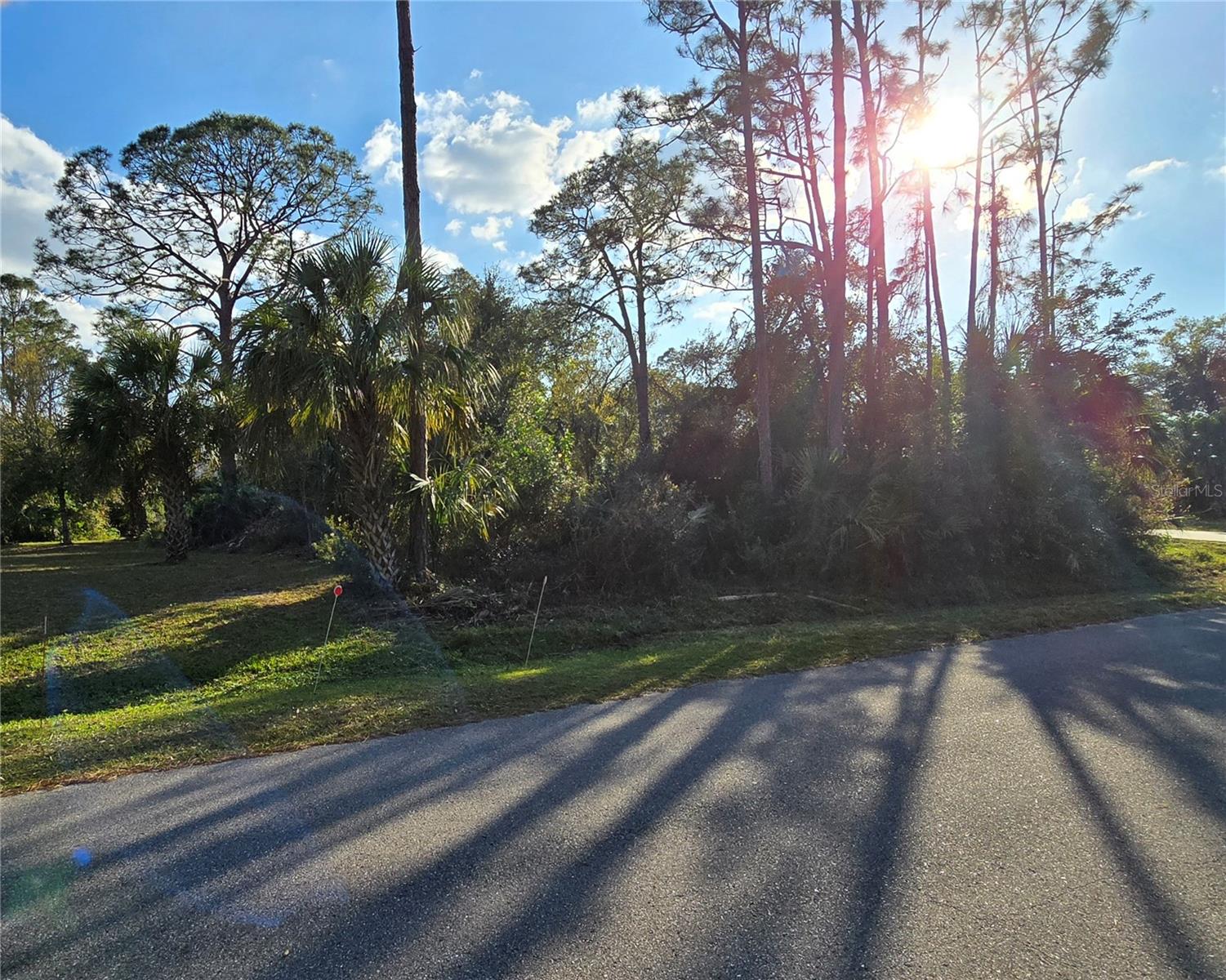 SYLVANIA AVE — photo 2