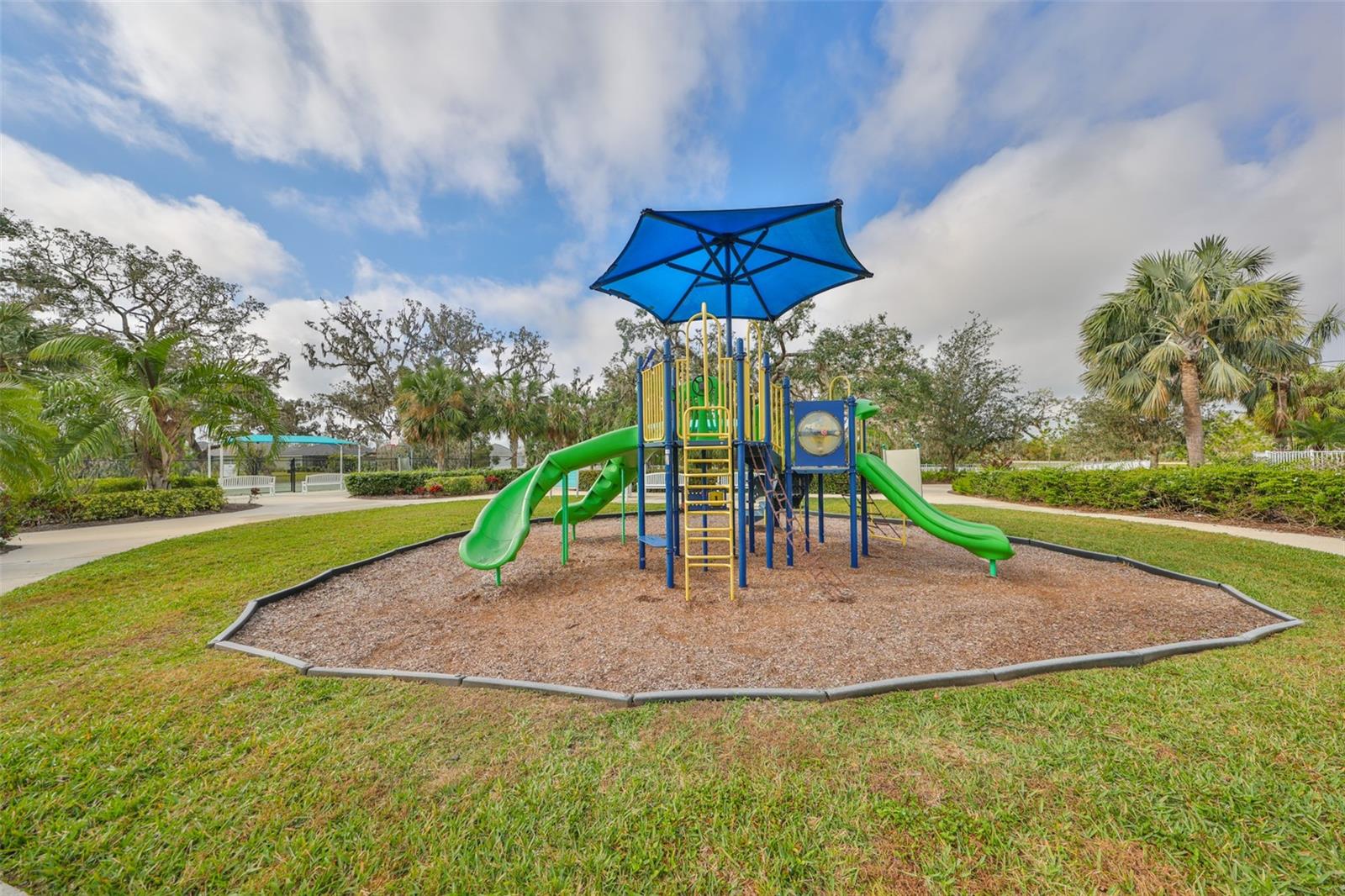 11008 SAND PINE LN — photo 48