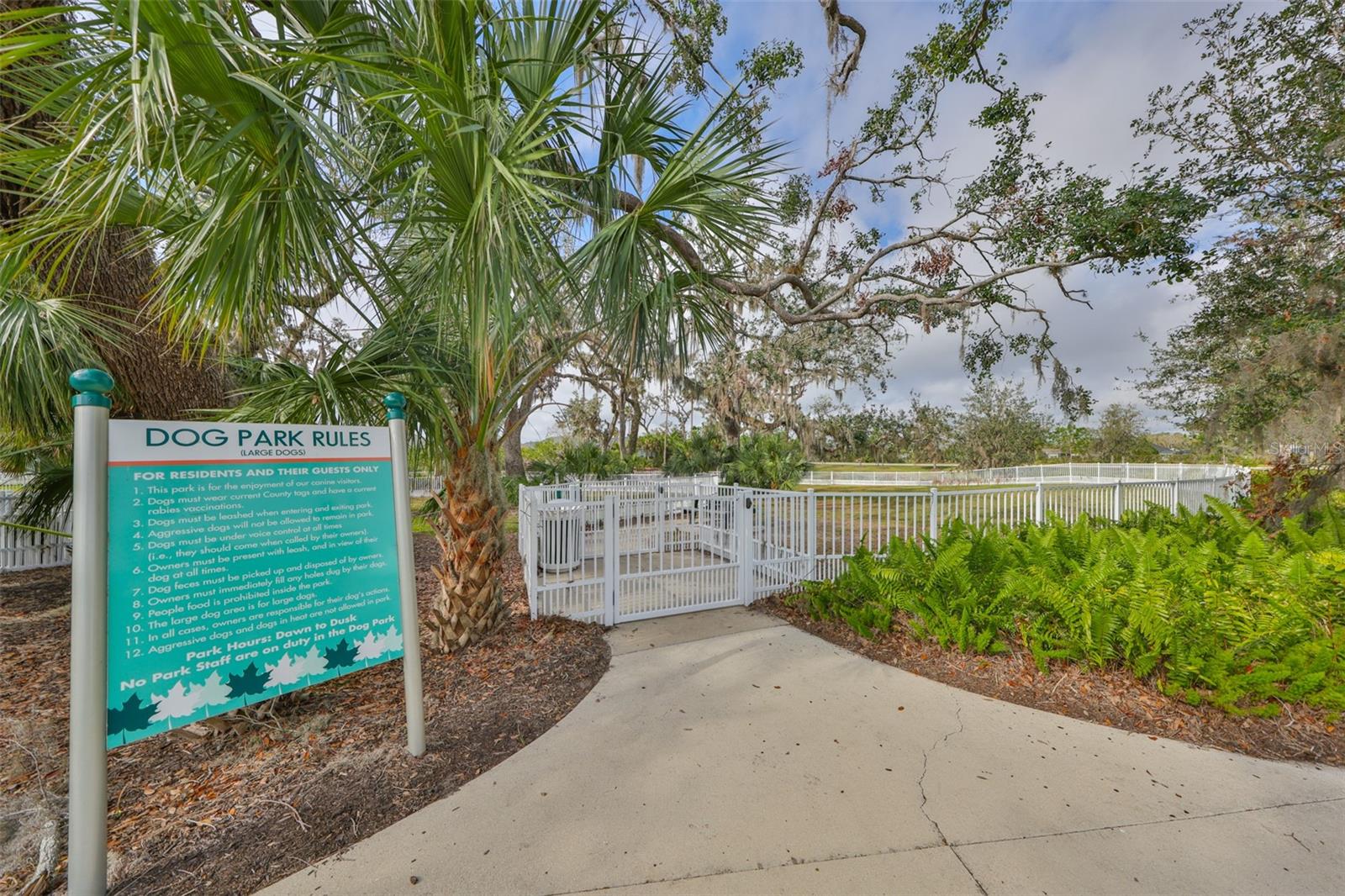 11008 SAND PINE LN — photo 51