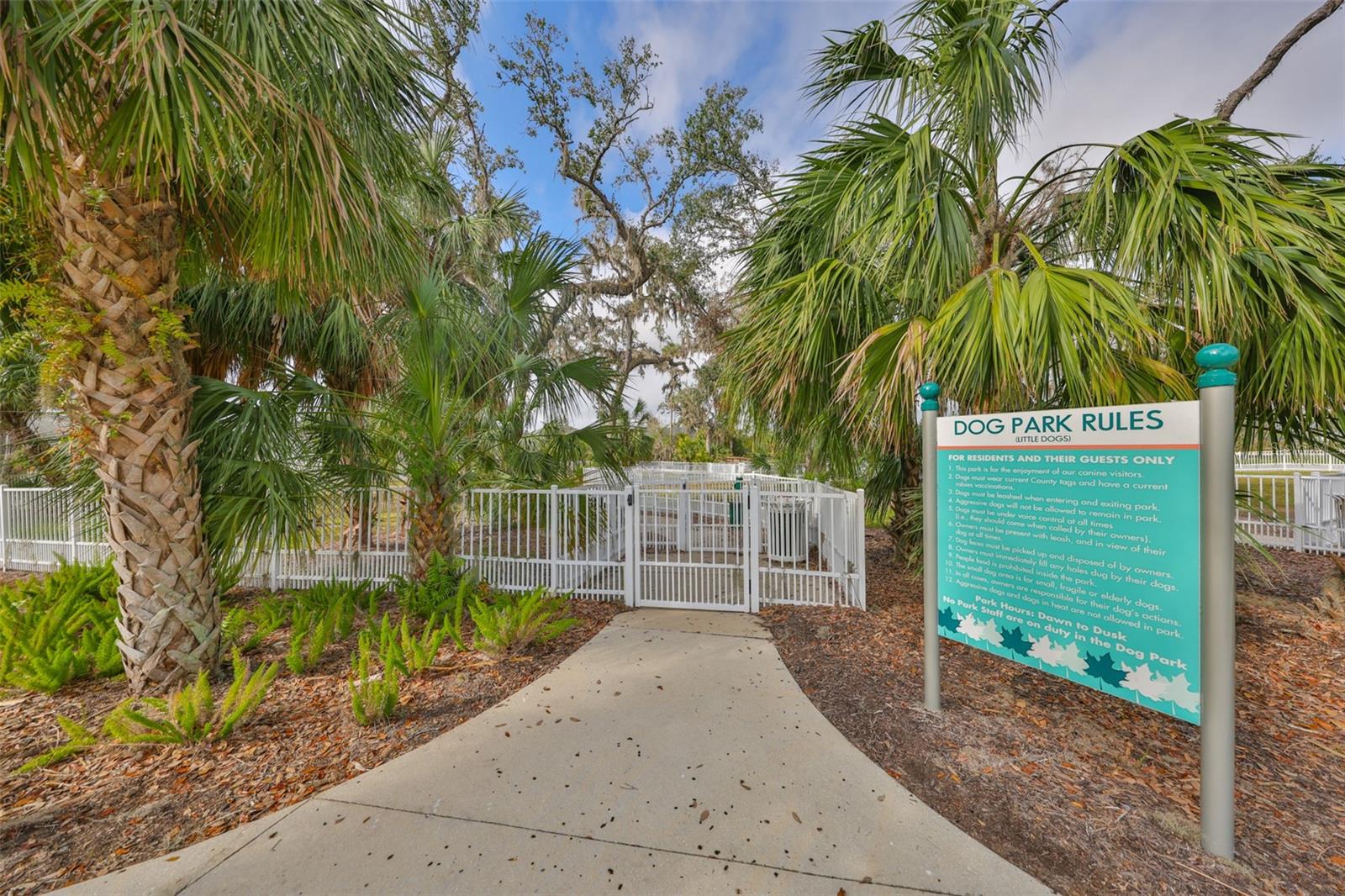 11008 SAND PINE LN — photo 50