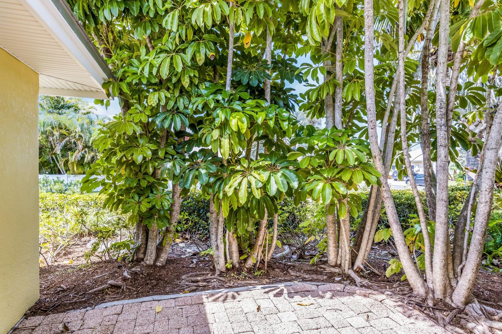 6606 HOLMES BLVD #3 — photo 30