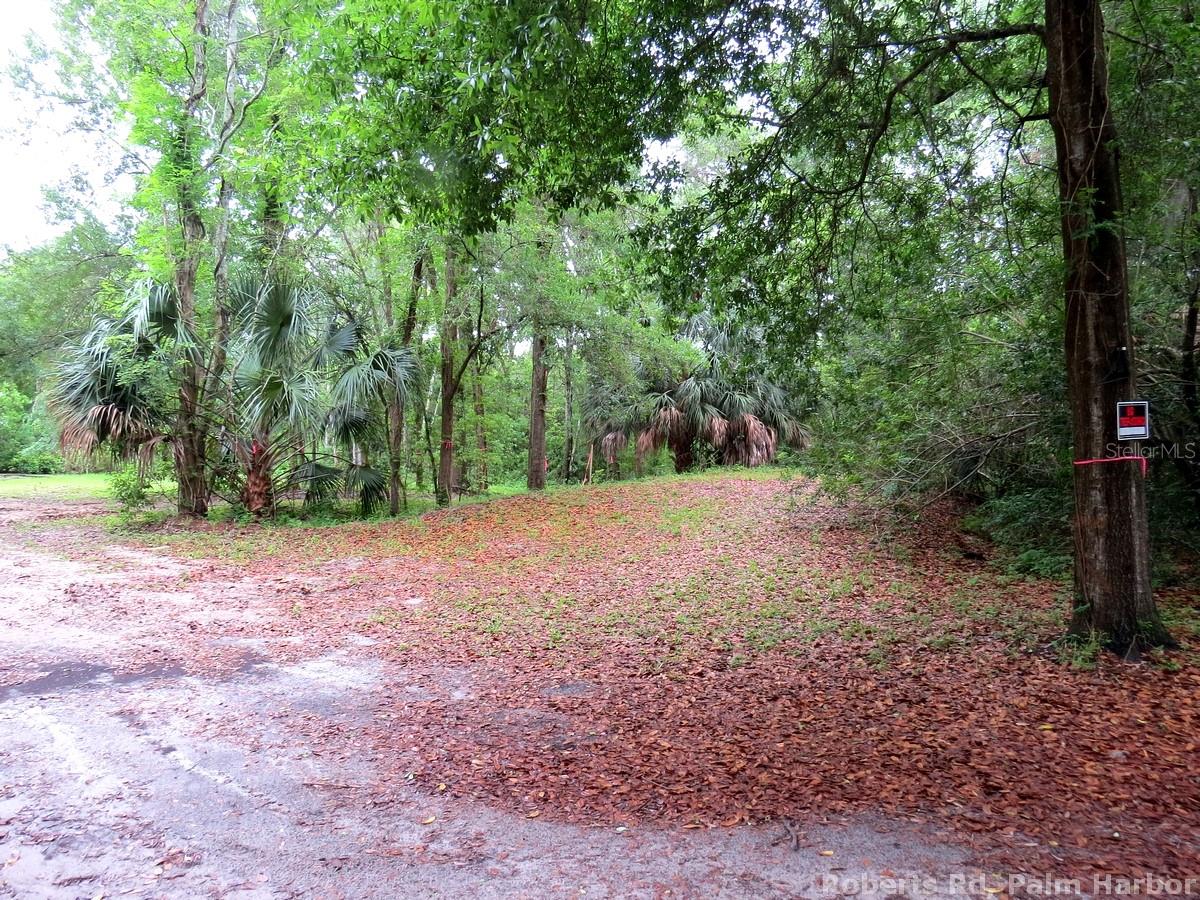 ROBERTS RD — photo 9