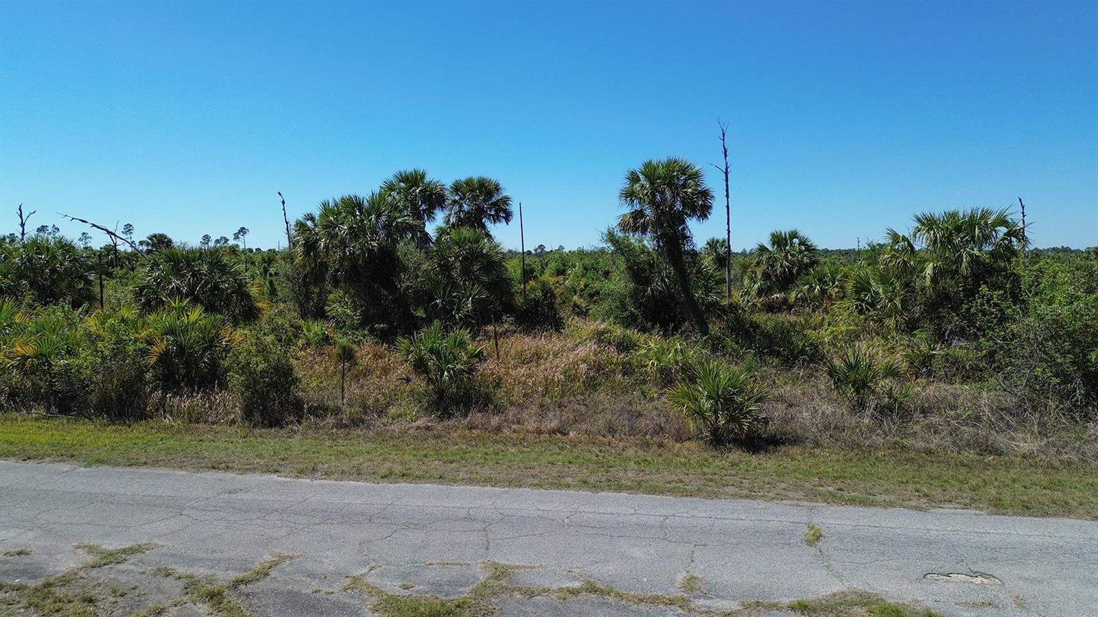 FARVIEW DR — photo 10