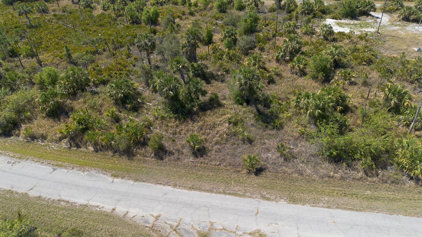 FARVIEW DR — photo 9