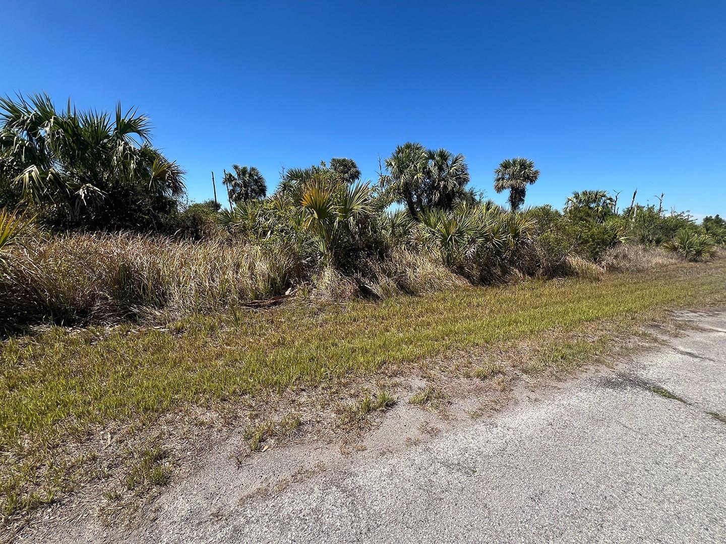 FARVIEW DR — photo 3